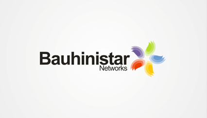 Internet network logo design, Bauhinia logo